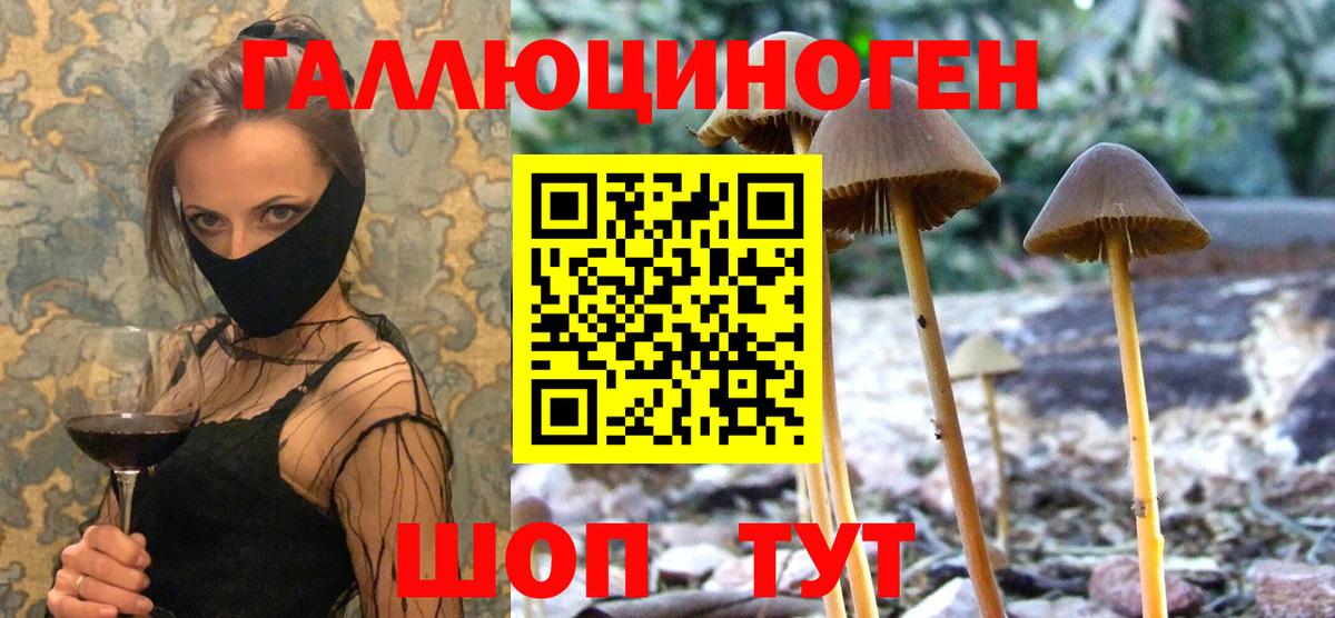 Галлюциногенные грибы Magic Shrooms  Вход с VPN  Кушва 