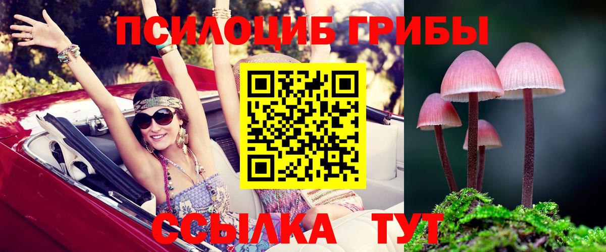 Галлюциногенные грибы MAGIC MUSHROOMS Кушва